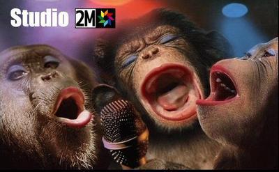 studio 2m